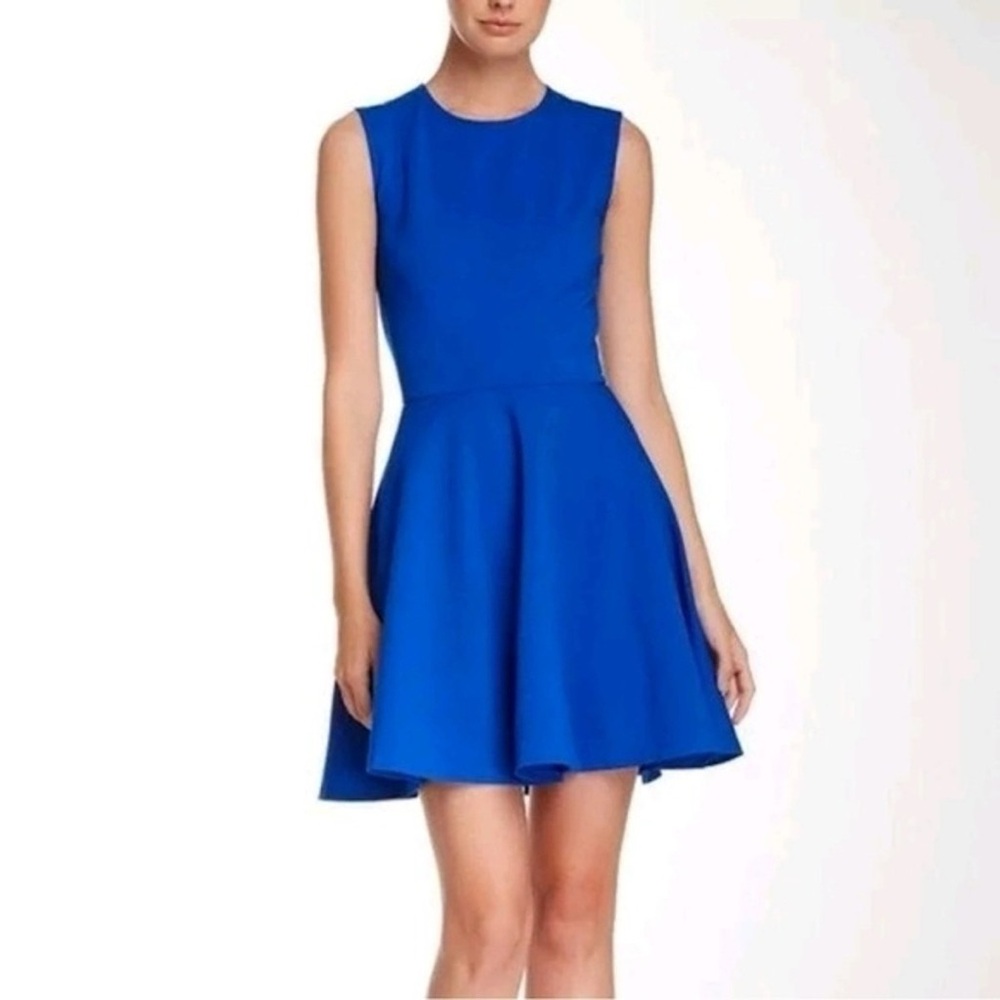 Diane Von Furstenberg Royal Blue Dress (size 6)